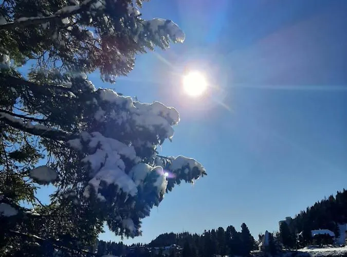 Apartamento Bella Turracher Hohe